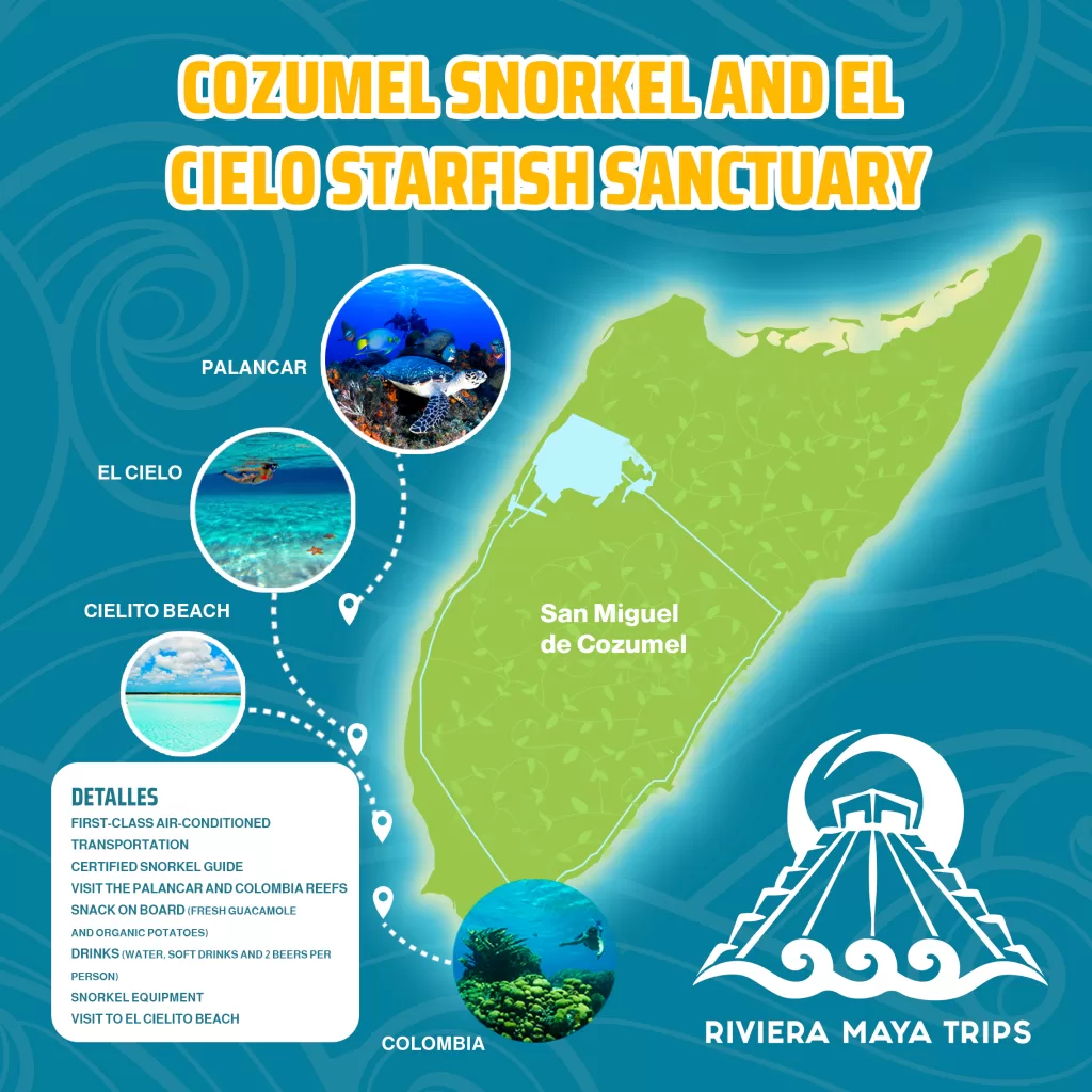 Cozumel Snorkel el Cielo